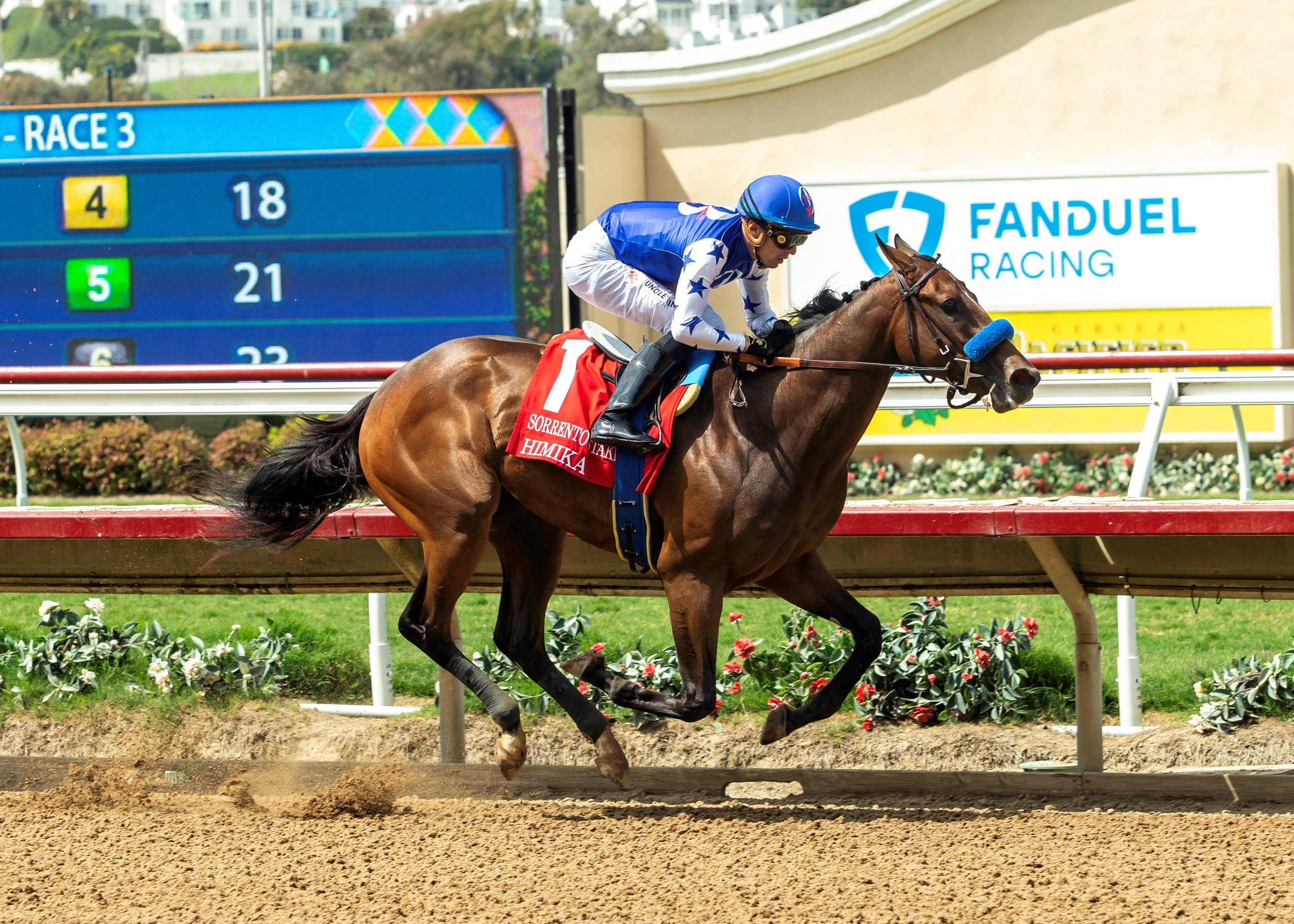 Hokkaido Island Stallion Parade Will Feature Equinox