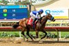 Himika and jockey Juan Hernandez win the Grade III, $150,000 Sorrento Stakes, Sunday, August 10, 2025 at Del Mar Thoroughbred Club, Del Mar CA.
&#169; BENOIT PHOTO