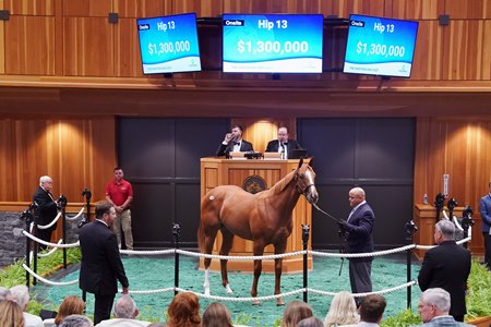 Hip 13, a Curlin filly, in the sales ring at the Fasig-Tipton Saratoga Sale