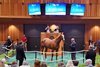 Hip 13, 2025 Fasig-Tipton Saratoga Sale