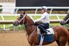 Journalism, Del Mar, August 16 2025