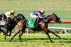The Padre and jockey Umberto Rispoli win the Grade II, $300,000 Del Mar Derby, Sunday, August 31, 2025 at Del Mar Thoroughbred Club, Del Mar CA.
&#169; BENOIT PHOTO