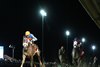 Indy Bay wins the 2025 Charles Town Oaks at Charles Town