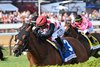 Bring Theband Home wins the 2025 Troy Stakes at Saratoga