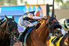 Gold Phoenix and jockey Flavien Prat, middle, overpower Stay Hot (Mike Smith), right, and Truly Quality (Umberto Rispoli), left, to win the Grade II, $300,000 Del Mar Handicap, Saturday, August 30, 2025 at Del Mar Thoroughbred Club, Del Mar CA.
&#169; BENOIT PHOTO,