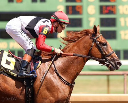 Comport wins the Ellis Park Juvenile Stakes at Ellis Park