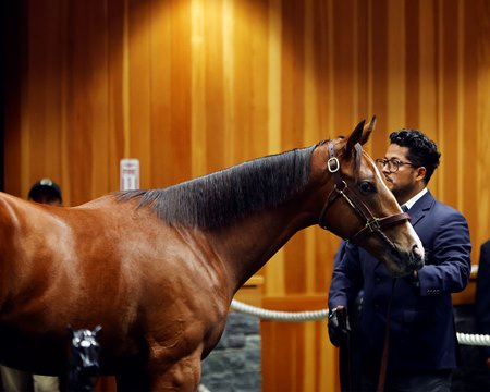 Hip 29, a colt by Justify, in the sales ring at the Fasig-Tipton Saratoga Sale