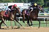 Arctic Beast, Maiden Win, Saratoga Race Course, August 15 2025