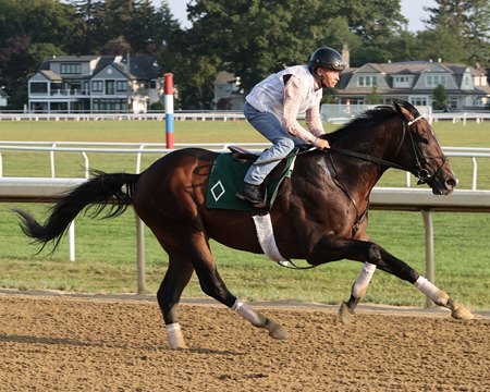 Sovereignty works out at Saratoga Race Course