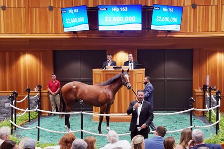 The Into Mischief colt consigned as Hip 163 in the ring at the Fasig-Tipton Saratoga Sale