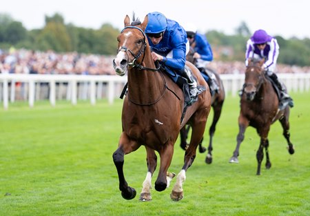 Ombudsman wins the Juddmonte International Stakes at York Racecourse