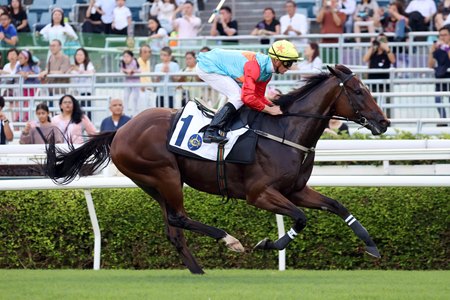 Ka Ying Rising cruises through a barrier trial Aug. 30 at Sha Tin Racecourse