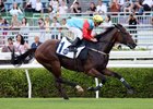 Ka Ying Rising cruises through a barrier trial August 30 2025 at Sha Tin Racecourse
