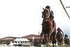 Lagynos wins the 2025 Tapit Stakes at Kentucky Downs