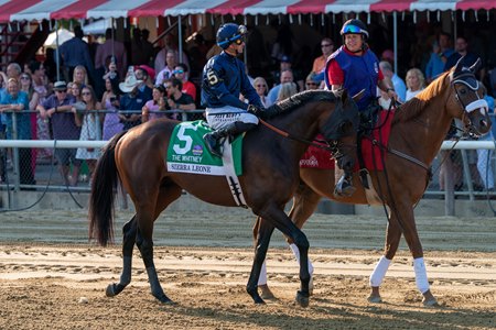 Sierra Leone will attempt to win a second straight Breeders' Cup Classic Nov. 1 at Del Mar