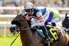 The Padre and jockey Umberto Rispoli win the $100,000 La Jolla Handicap, Sunday, August 3, 2025 at Del Mar Thoroughbred Club, Del Mar CA.
&#169; BENOIT PHOTO