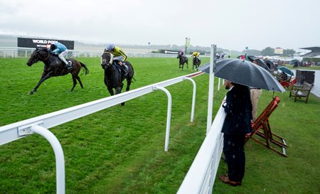 Merchant (left) beats Wimbledon Hawkeye in the Gordon Stakes at Goodwood