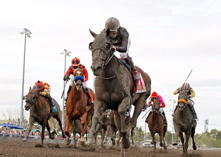 Arrowthegreat wins the Longacres Mile at Emerald Downs