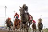 Arrowthegreat wins the 2025 Longacres Mile at Emerald Downs