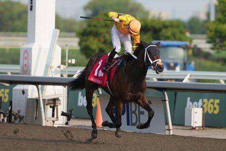 Mansetti, under a jubilant Pietro Moran, wins the King's Plate Stakes at Woodbine