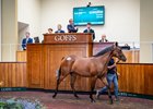 2025 Goffs UK Premier Yearling Sale, Lot 205