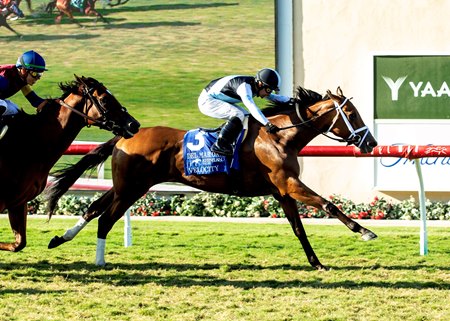 Velocity comes up the rail to upset the Del Mar Oaks at Del Mar