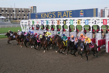 Horses break from the gate for the 2025 King's Plate Stakes at Woodbine