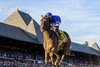 Sovereignty wins the 2025 Travers Stakes at Saratoga Race Course