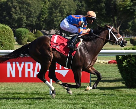 Final Score cruises to victory in the With Anticipation Stakes at Saratoga Race Course
