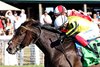 Wimbledon Hawkeye (GB) wins 2025 Nashville Derby Invitational Stakes at Kentucky Downs