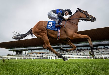 Queen of Hawaii wins in her native Ireland in the 2025 Flame Of Tara Stakes at the Curragh