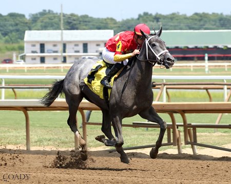 Chopsticks wins the Debutante Stakes at Ellis Park