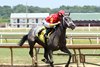 CHOPSTICKS wins the 2025 Ellis Park Debutante Stakes at Ellis Park