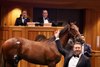 Hip 37, 2025 Fasig-Tipton Saratoga Sale