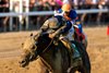 Sierra Leone and Flavien Prat win the G1 Whitney Stakes, Saratoga Racecourse, Saratoga Springs, NY, August 2, 2025, Mathea Kelley