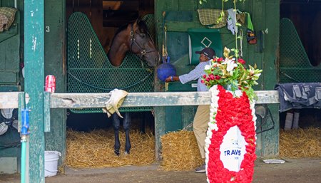 Erma Scott greets Sovereignty the morning after his Travers Stakes victory