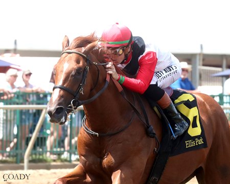 Comport appears to be the horse to beat in the Irquois Stakes at Churchill Downs