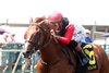 Comport wins the 2025 Ellis Park Juvenile Stakes at Ellis Park