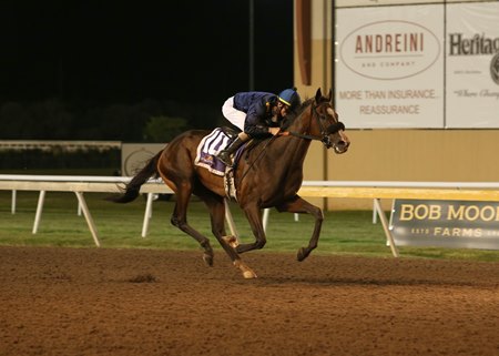 Colonel Yorke wins the Oklahoma Stallion Colts and Geldings Handicap at Remington Park