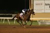 Colonel Yorke wins the 2025 Oklahoma Stallion Colts and Geldings Handicap at Remington Park