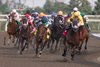 Jockey Pietro Moran guides Mansetti to victory in the 166th running of the $1,000,000 King&#39;s Plate in a time of 2.02.1 for the 1Mi.1/4. Mansetti is owned by Al and Bill Ulwelling and trained by Kevin Attard. Woodbine/Michael Burns Photo