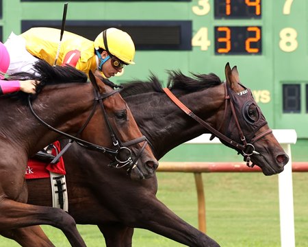 Swamp King earns his maiden victory at Ellis Park