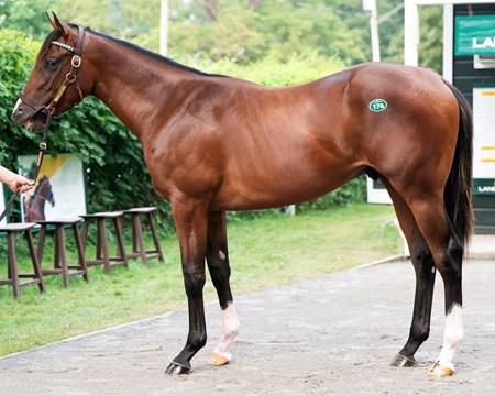 A colt by Flightline, consigned as Hip 176, sold for $1.8 million to John Oxley and West Point Thoroughbreds at Fasig-Tipton's Saratoga Sale