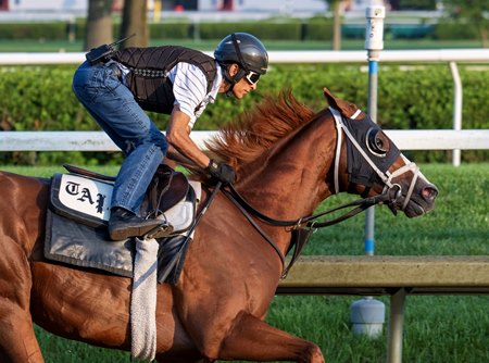 Antiquarian breezes Aug. 9 under jockey John Velazquez at Saratoga Race Course