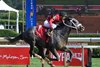 Aye Eye, Maiden Win, Saratoga Race Course, August 8 2025