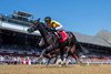 Ewing and Jose Ortiz Win the G2 Saratoga Special Stakes, Saratoga Racecourse, Saratoga Springs, NY, August 2, 2025, Mathea Kelley