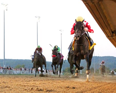 Chunk of Gold wins the West Virginia Derby