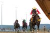 Chunk of Gold wins the 2025 West Virginia Derby at Mountaineer