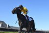 Luther wins the 2025 National Museum of Racing Hall of Fame Stakes at Saratoga Race Course after the disqualification of Zulu Kingdom, who finished first