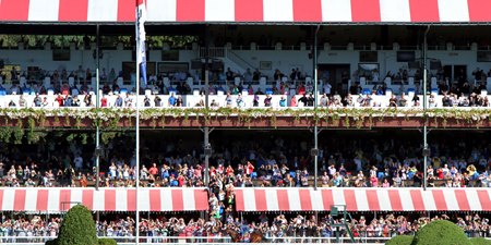 American Pharoah gallops one day before the 2015 Travers Stakes at Saratoga Race Course